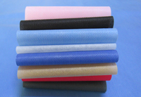 志丹涤纶（PET）无纺布是什么